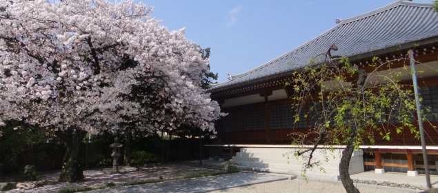 石城山　妙楽寺