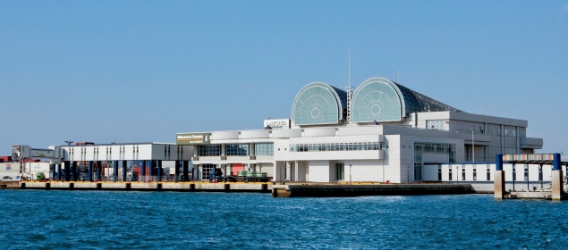 博多港国際ターミナル